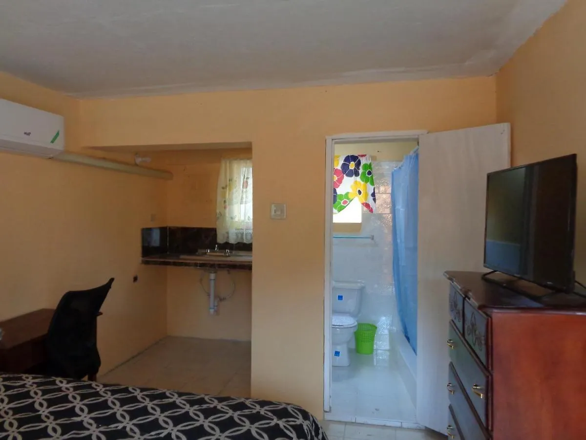 Tropical Manor Inn - Kingston